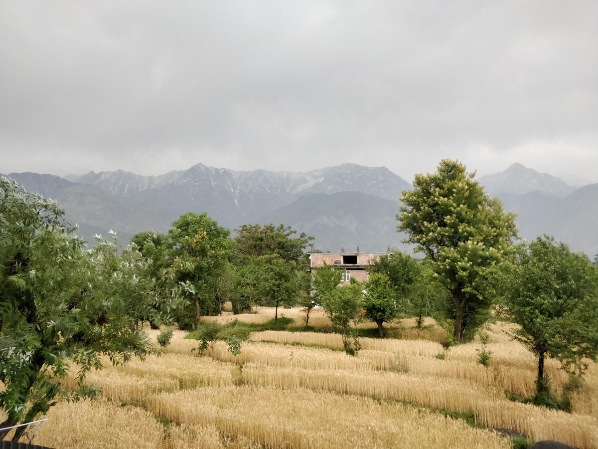 D'Polo Club & Spa Resort Dharamsala Exteriér fotografie
