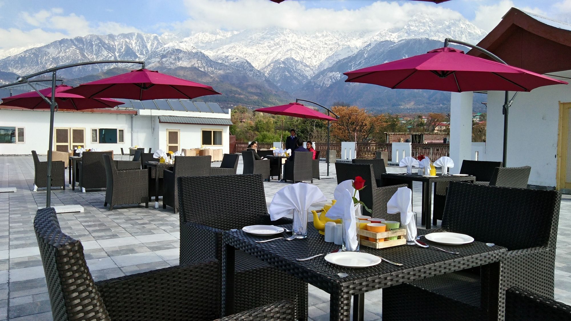 D'Polo Club & Spa Resort Dharamsala Exteriér fotografie