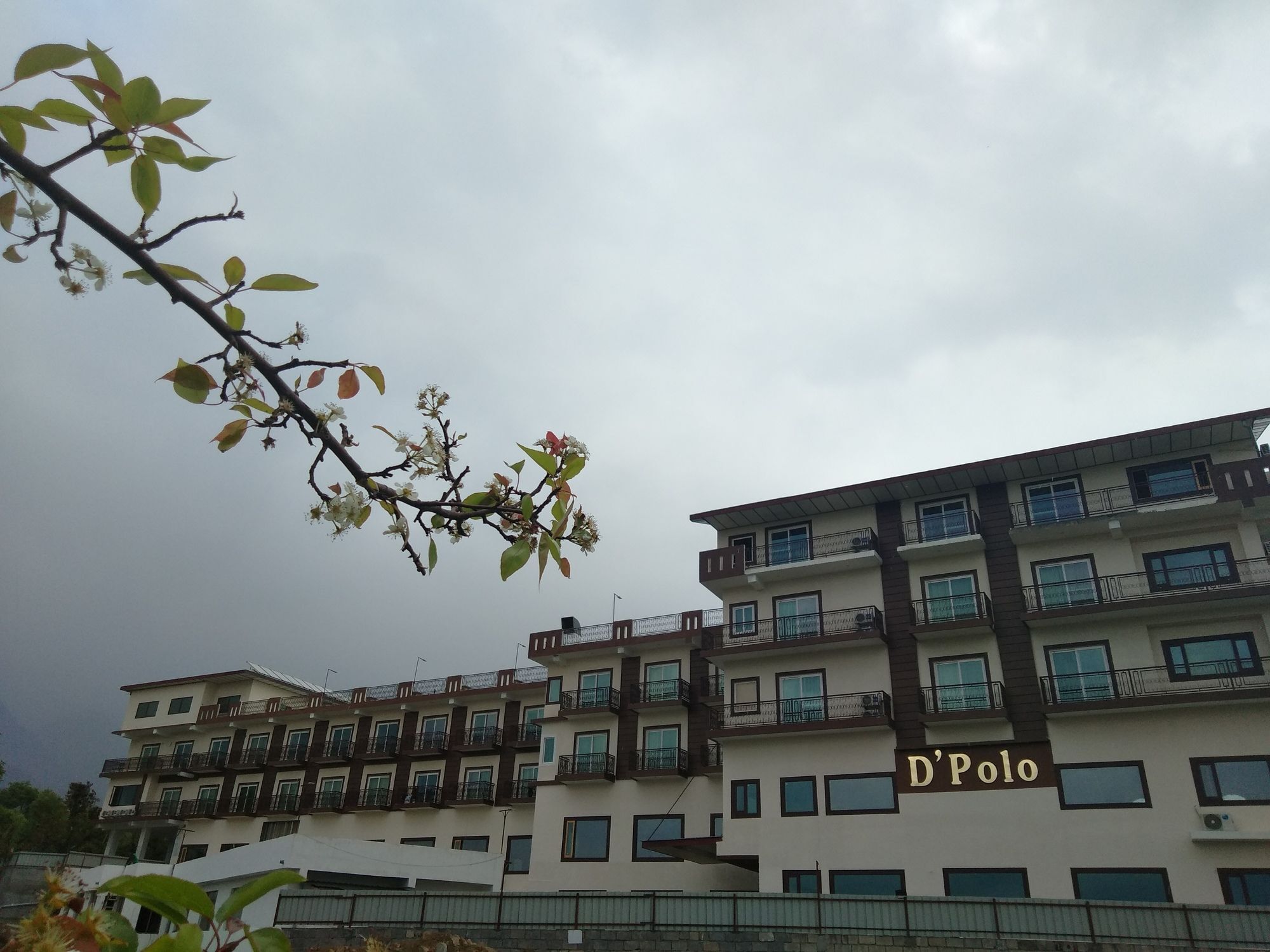 D'Polo Club & Spa Resort Dharamsala Exteriér fotografie